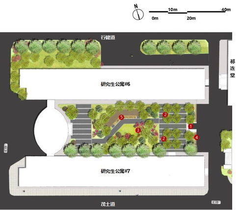 项目场地设计方案[项目场地设计方案怎么写]